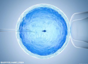 爱心同性供卵代孕微信群试管婴儿中心